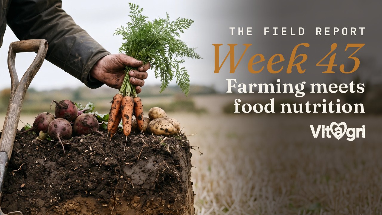 Carrots, beetroot and potatoes over a block of soil, with the words Farming meets food nutrition