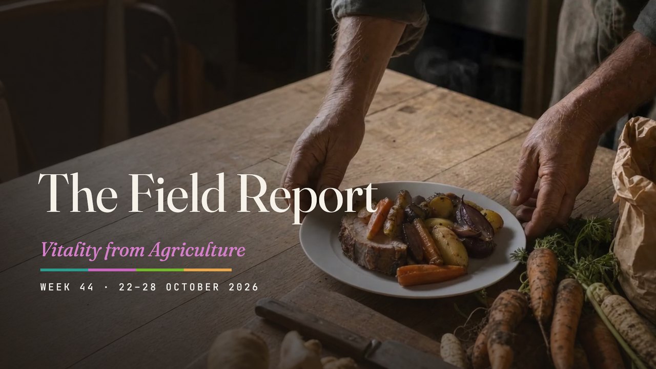 A farmer’s hands set a plate of roast meat and vegetables on a farmhouse table beside freshly dug carrots, with the words The Field Report, Vitality from Agriculture