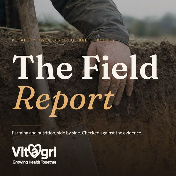 The Vitagri Field Report artwork: a hand holding soil