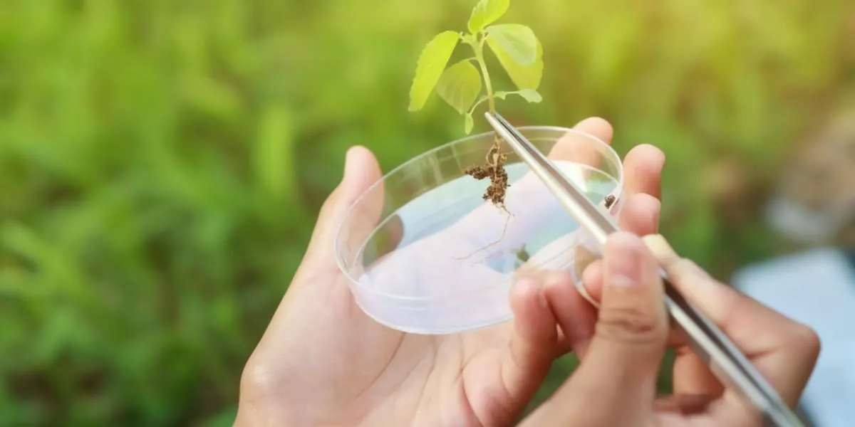 Food science laboratory