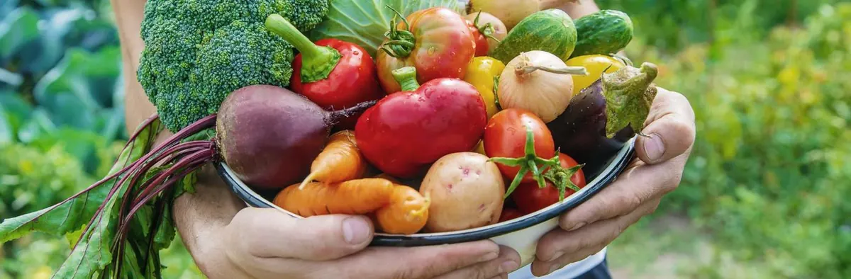 Nutrient-dense vegetables