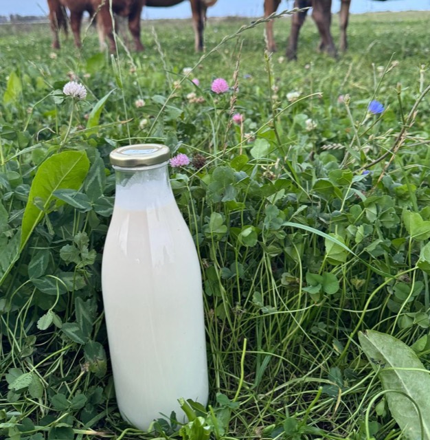 Milk