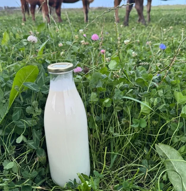 Milk
